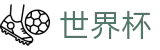 FIFA 2026世界杯购彩官网 - 世界杯买球赛冠军赔率最准